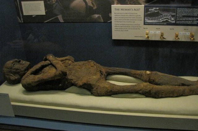 ABD'li bekçi 2 bin 500 yıllık mumyaya tecavüz etti - Resim: 3