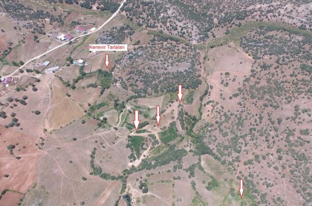 PKK'nın kan donduran Lice talimatı deşifre oldu!  - Resim: 1