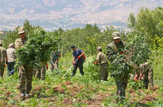 PKK'nın kan donduran Lice talimatı deşifre oldu!  - Resim: 2