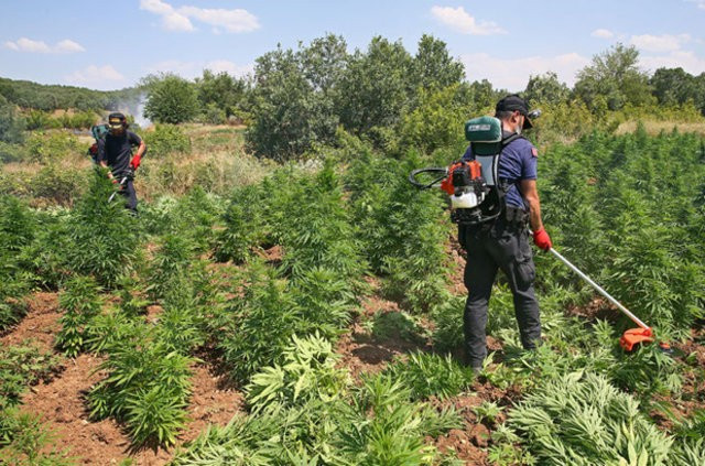 PKK'nın kan donduran Lice talimatı deşifre oldu!  - Resim: 4