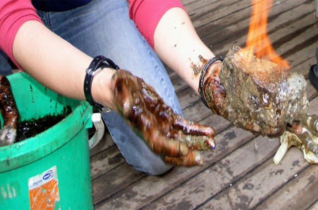 Türkiye ekonomisini uçuracak dev adım!  - Resim: 1