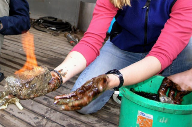 Türkiye ekonomisini uçuracak dev adım!  - Resim: 4