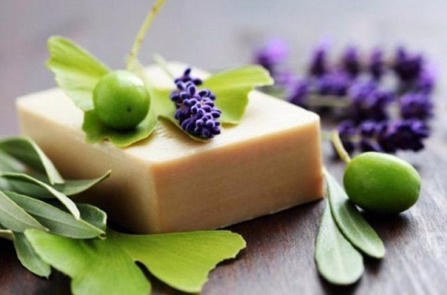 Zeytin çekirdeği yemenin faydaları neler? - Resim: 3