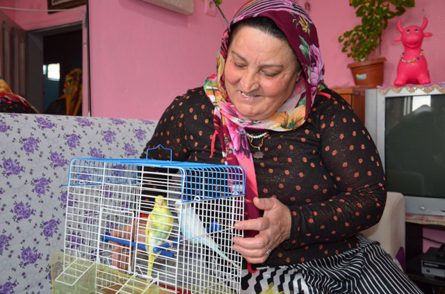 Batman Valisi Şahin yalnız yaşayan kadının 'muhabbet kuşu' talebini yerine getirdi - Resim: 0