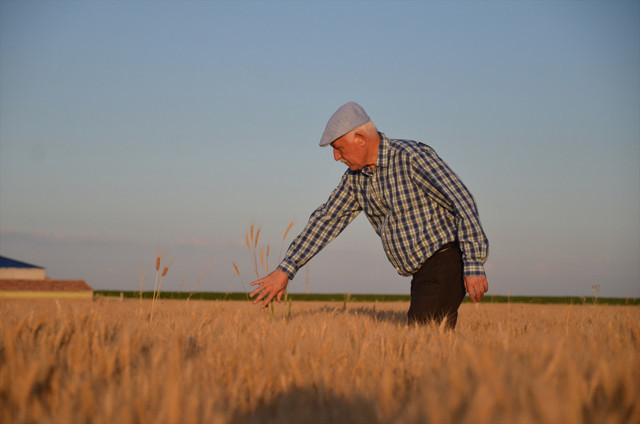 Beyşehir Gölü 'ölü' seviyesinin altına indi! Konya'da barajlar da kuruyor - Resim: 4