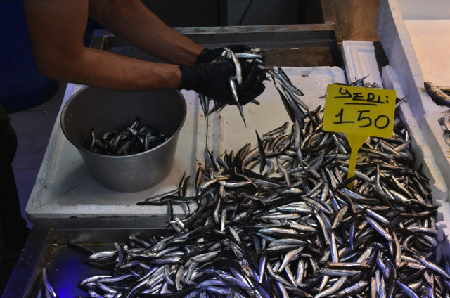 Trabzon'da hamsi ve istavrit fiyatı belli oldu - Resim: 0