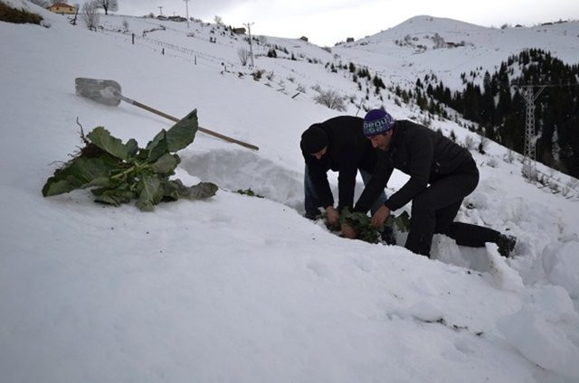 Bu kelimelerin anlamını biliyor musunuz? - Resim: 3