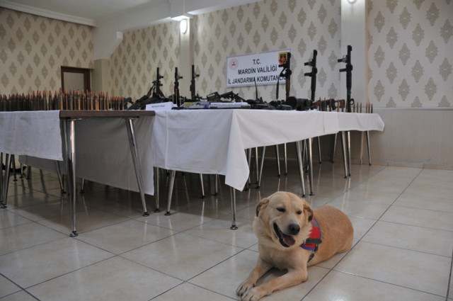 Mardin'de kalem şeklinde kimyasal fünyeler ele geçirildi - Resim: 2