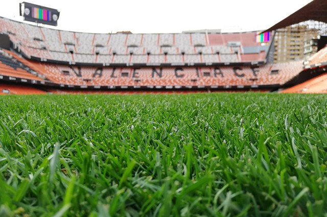 Valencia'dan corona virüse karşı önlem bütün toplantılar iptal - Resim: 0