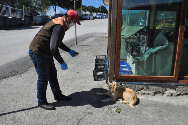 Bartın'da yoğun bakıma alındı sadık dostu 5 gündür hastane önünde bekliyor - Resim: 1
