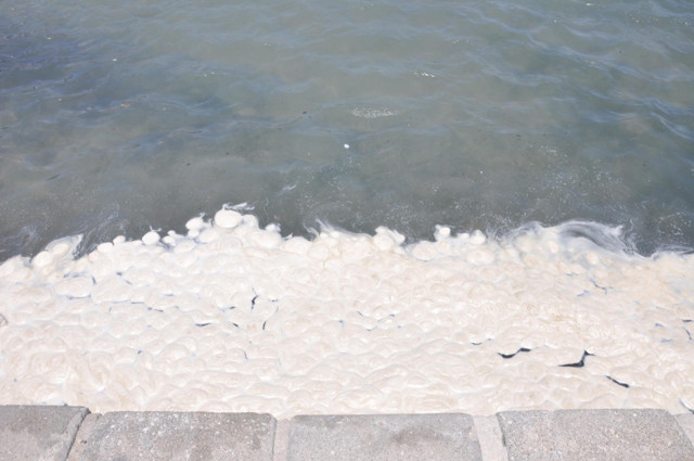 Muğla Datça'da sahildeki görüntü endişelendirdi nedeni belli oldu - Resim: 0