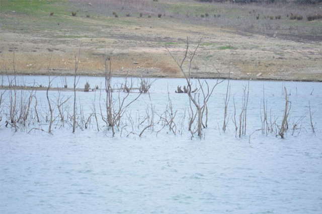 Baraj suyu çekilince ortaya çıktı Tekirdağ'da korkutan görüntüler - Resim: 2