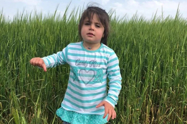 Kaybolduktan 18 gün sonra ölü bulunmuştu! Minik Leyla Aydemir davasında yeni gelişme: O karara itiraz edildi! - Resim: 0