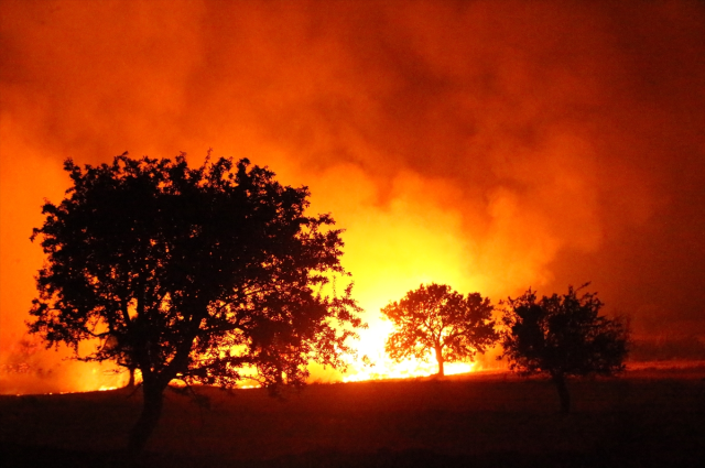 Çanakkale'de devam eden orman yangını şehir merkezine kadar yaklaştı - Resim: 1