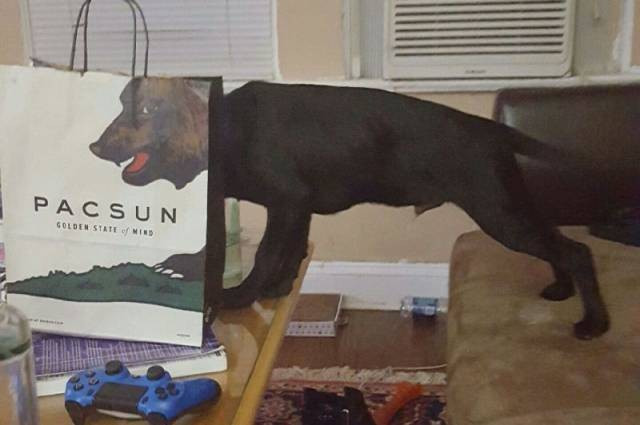 Bakan bir daha bakıyor - Resim: 3