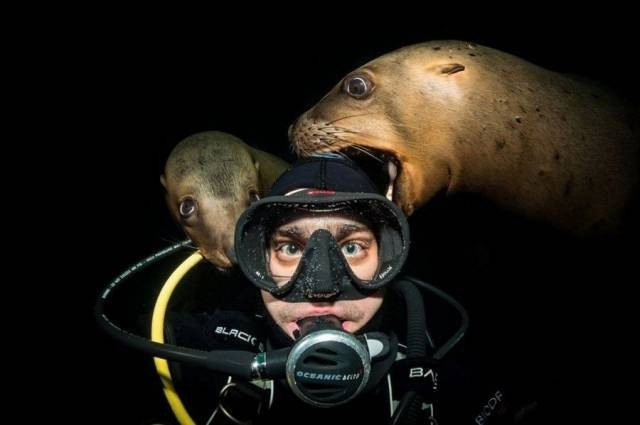 Günün en çılgın 50 fotoğrafı - Resim: 1