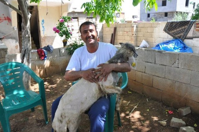 Kimse ne olduğunu anlamadı deniz kıyısına vuran bu ceset dünyayı salladı  - Resim: 4