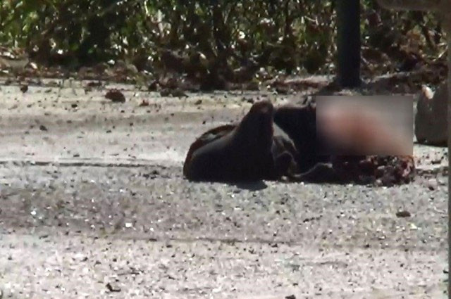 İran saldırısında şok görüntüler! Siyanür içip... - Resim: 2