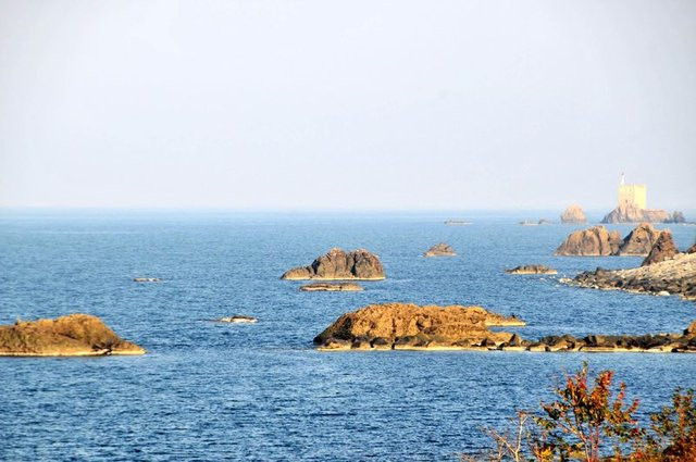 Rize-Artvin Havalimanı için deniz dolgusuna başlandı - Resim: 4