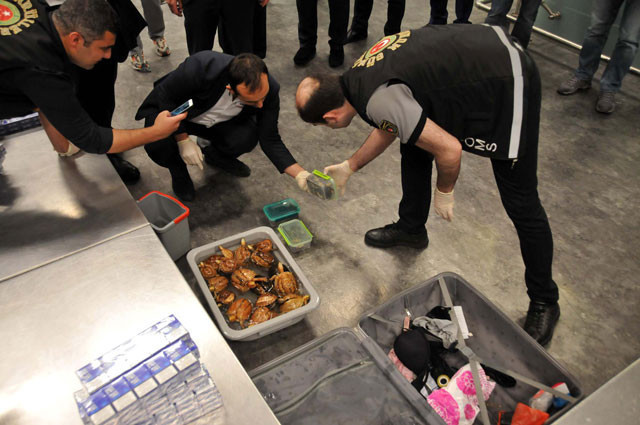 Havalimanı'nda akılalmaz olay! Valizden çıktılar - Resim: 1