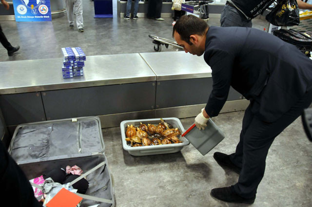 Havalimanı'nda akılalmaz olay! Valizden çıktılar - Resim: 3