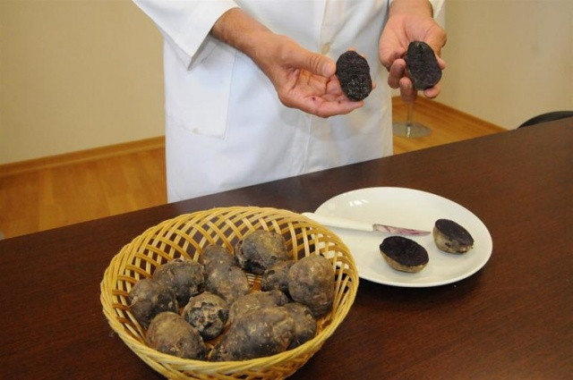 Türkiye'de üretildi görenleri şaşırtıyor  - Resim: 2