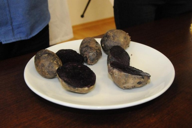 Türkiye'de üretildi görenleri şaşırtıyor  - Resim: 3