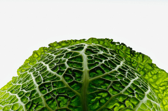 İşte kısırlığa iyi gelen besinler - Resim: 3