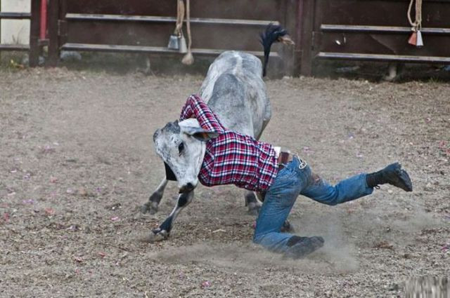 Bu fotoğraflara iki kez bakılır - Resim: 3