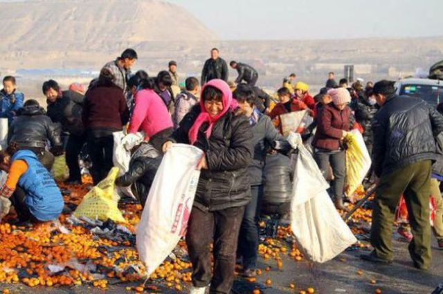 Bu trafik kazaları mutlu ediyor! - Resim: 4