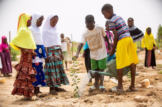 İDDEF'ten fidan projesi! Afrika'da ihtiyaç duyulan bölgelere fidan dikiliyor - Resim: 0