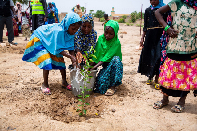 İDDEF'ten fidan projesi! Afrika'da ihtiyaç duyulan bölgelere fidan dikiliyor - Resim: 1