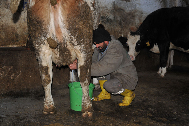 Sütte büyük vurgun! Üreticiden 2.5 liraya satın alınan süt markette 9 lira - Resim: 0