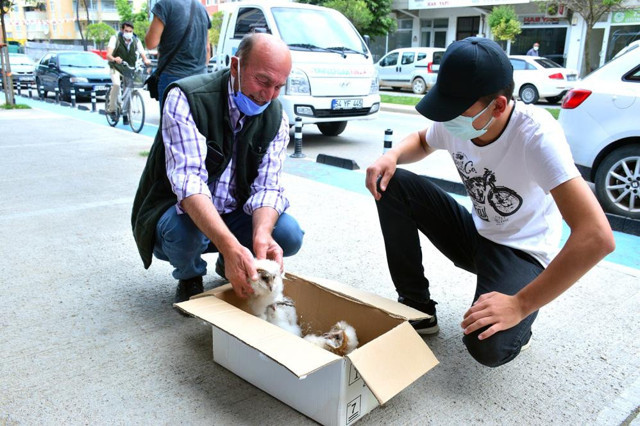 Çatıdan nefes alır gibi ses geliyordu! 15 gün sonra gördüğü manzara şoke etti - Resim: 0