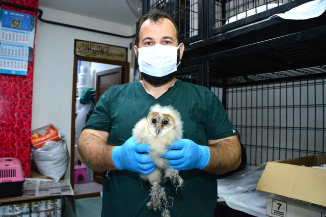 Çatıdan nefes alır gibi ses geliyordu! 15 gün sonra gördüğü manzara şoke etti - Resim: 2