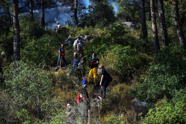 Orman yangınlarında 8. günde kötü haber! Yangın termik santrale ulaştı - Resim: 1