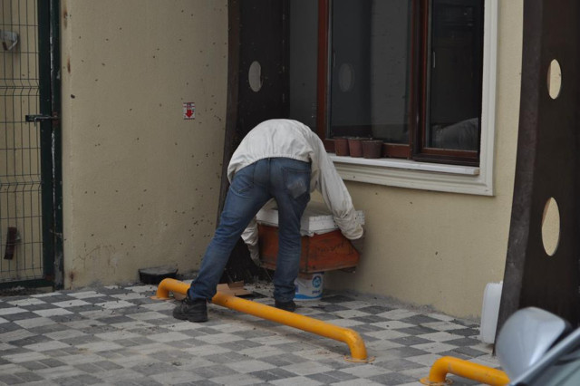 Kraliçe arı kovan arayışında! Yüzlercesi onu takip etti, duvarı böyle kapladılar! - Resim: 3