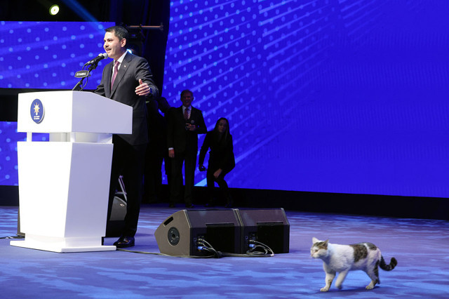 Erdoğan, AK Parti'nin İstanbul ilçe belediye başkan adaylarını açıkladı! İşte ilçe ilçe aday listesi... - Resim: 3