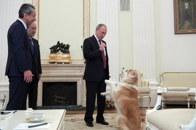 Putin gazetecileri köpekle korkuttu! - Resim: 2