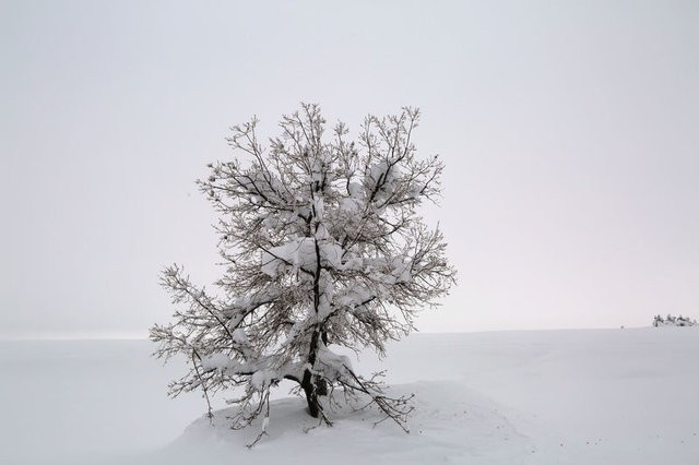 28 Aralık kar tatili ilan edilen iller - Resim: 3
