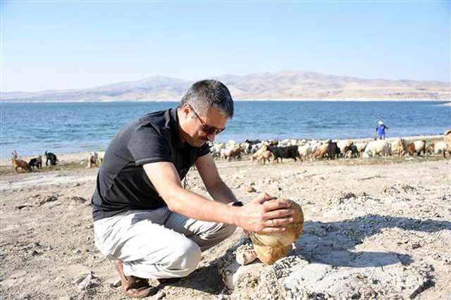 Keçi çobanı Kayseri'de buldu tam 6 milyon yıllık... - Resim: 4