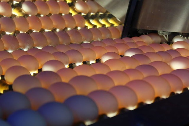 Yumurtanın kabuğunu kaynatıp fırına verirseniz... - Resim: 3