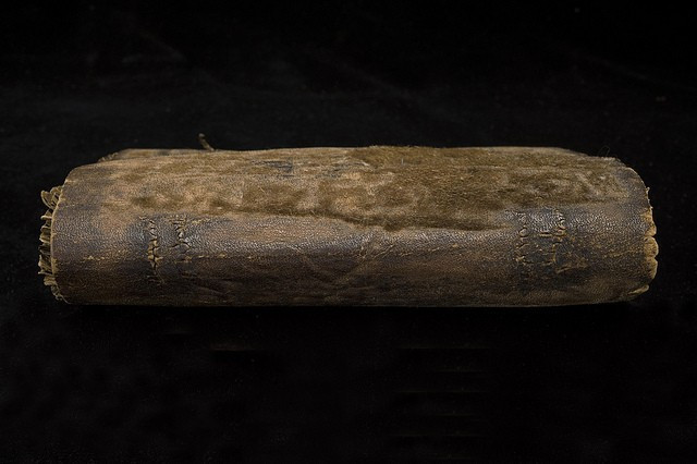 Yaşıyorken derisini yüzdüler kitap kapağı yapıp... - Resim: 3