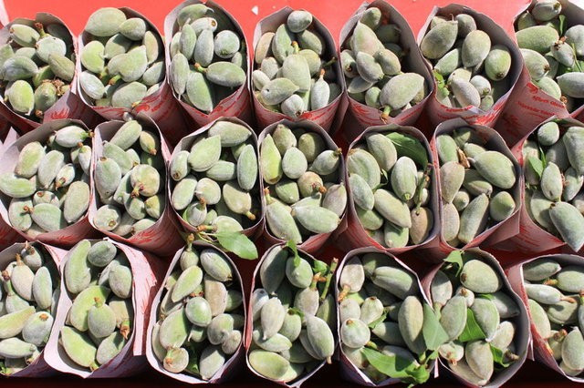 Çağla meyvesinin mucizevi faydaları - Resim: 1