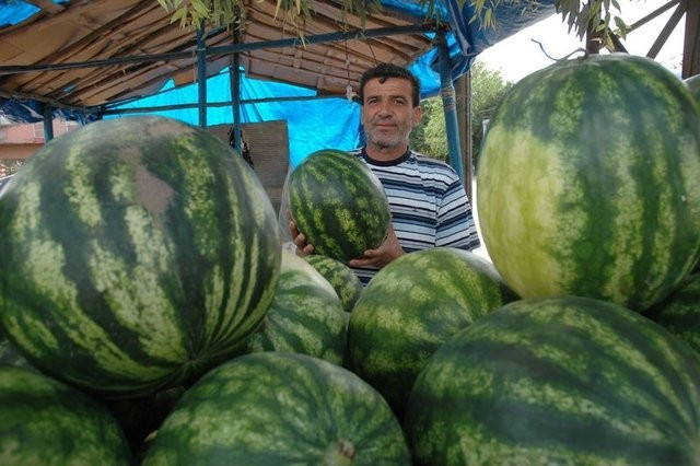 Karpuzun üzerine mum dökün bakın neler olacak - Resim: 4
