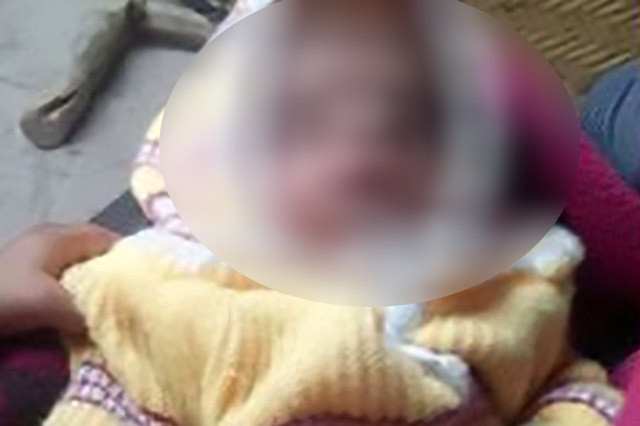 Maymun dehşeti! 12 günlük bebeği annesinin kucağından alıp... - Resim: 2