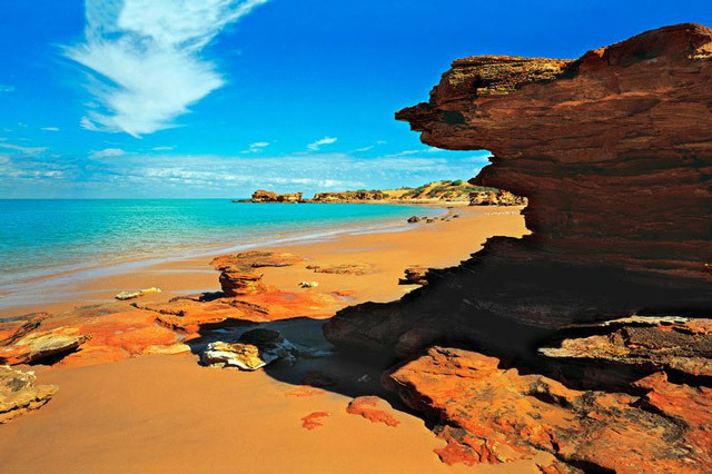 Onlarca kolu olan dev deniz yaratığı bulundu - Resim: 1