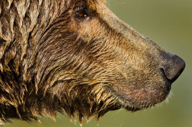 Onlar mahşerde nasıl hesap verecek? - Resim: 2