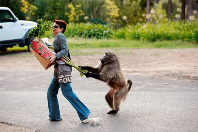 Bu insanları anlamak gerçekten çok zor! - Resim: 3