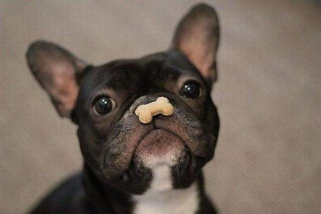 Bu görüntüler sizi hayrete düşürecek! - Resim: 1